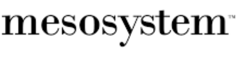 Mesosystem S.A.